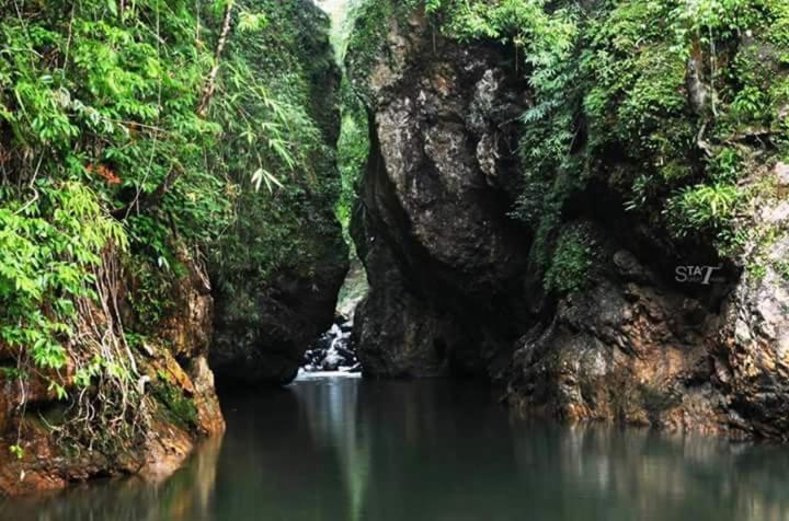 Khaosok River Camp Khao Sok National Park المظهر الخارجي الصورة