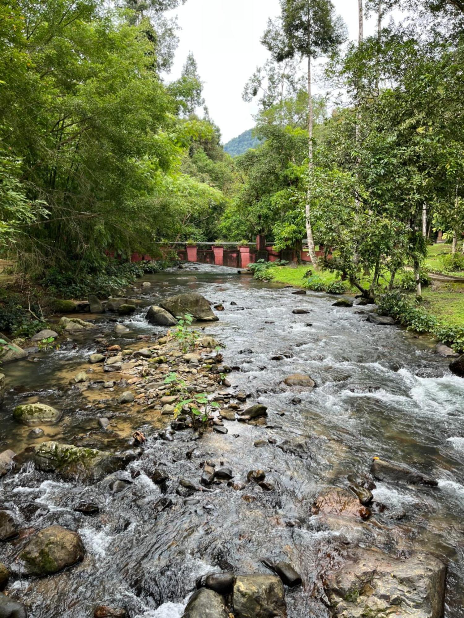 Khaosok River Camp Khao Sok National Park المظهر الخارجي الصورة
