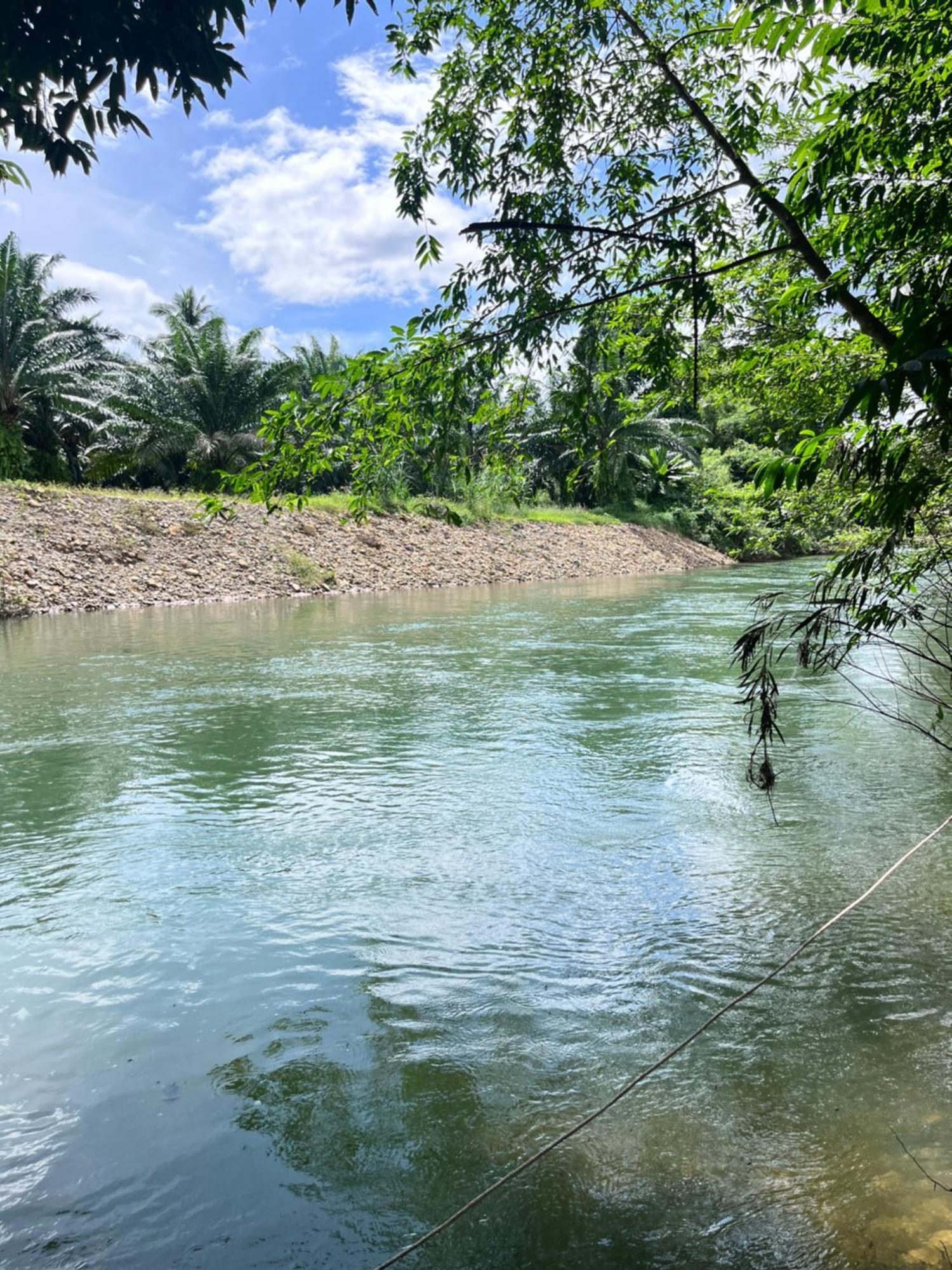 Khaosok River Camp Khao Sok National Park المظهر الخارجي الصورة