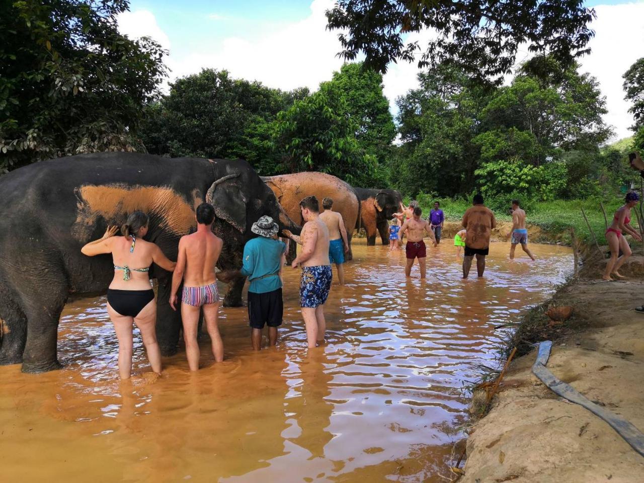 Khaosok River Camp Khao Sok National Park المظهر الخارجي الصورة