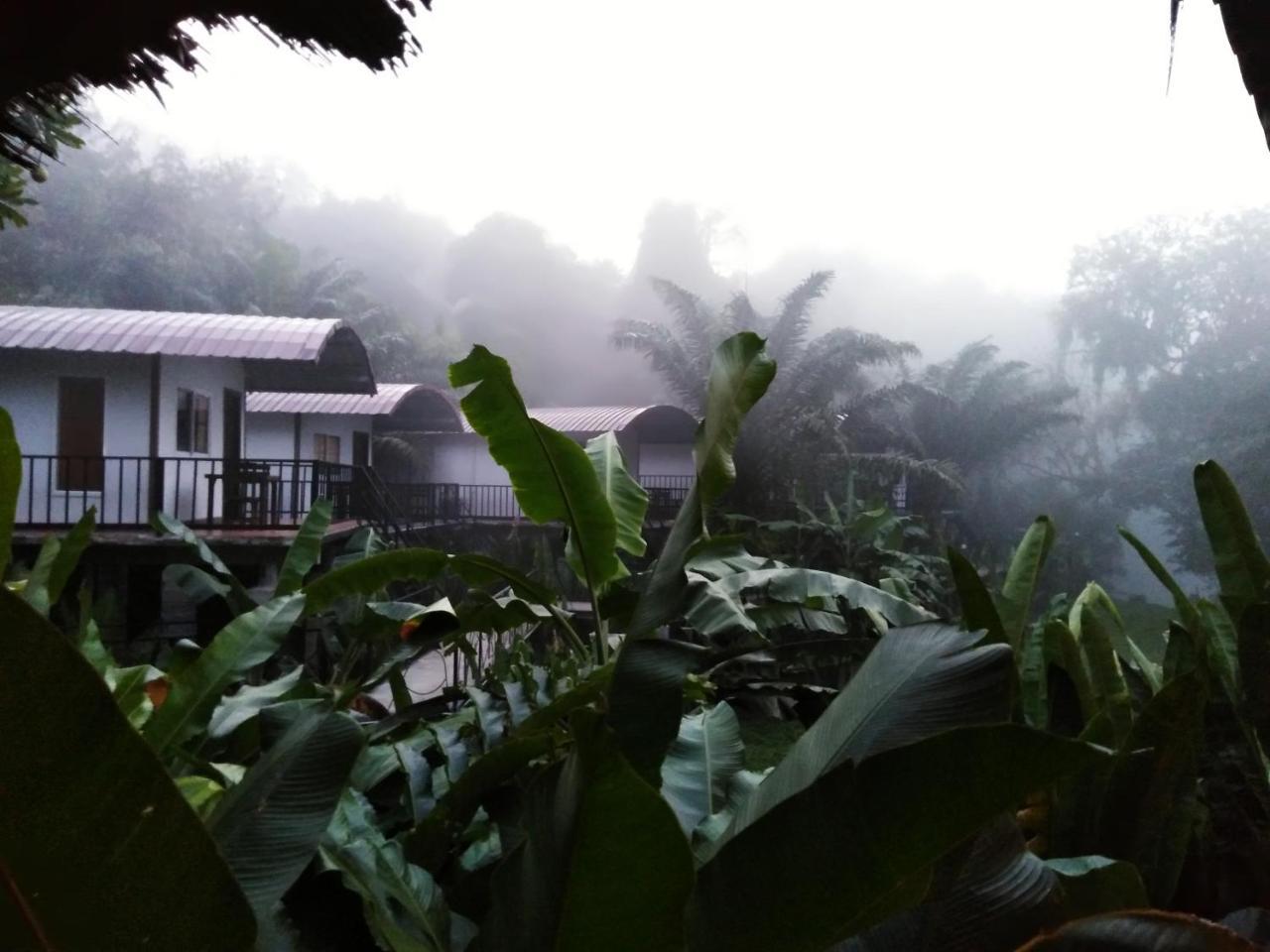 Khaosok River Camp Khao Sok National Park المظهر الخارجي الصورة