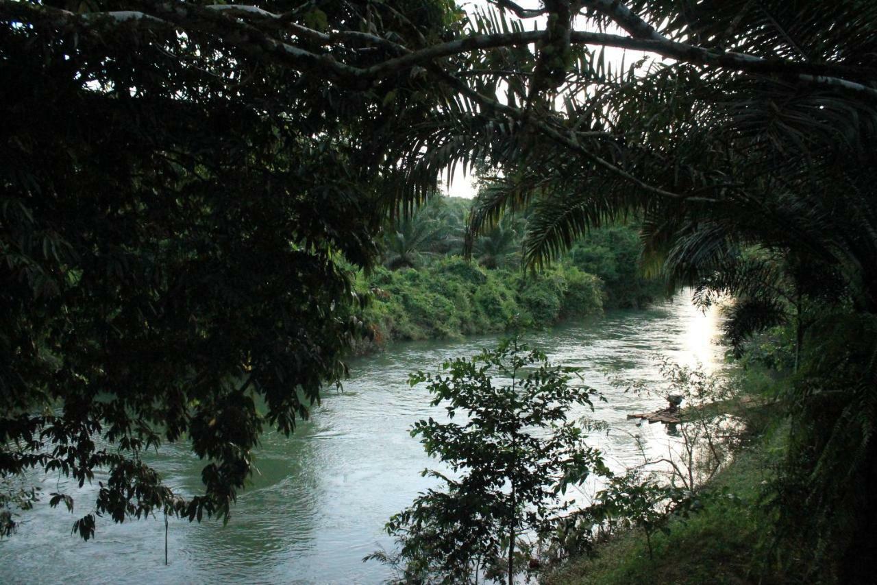 Khaosok River Camp Khao Sok National Park المظهر الخارجي الصورة