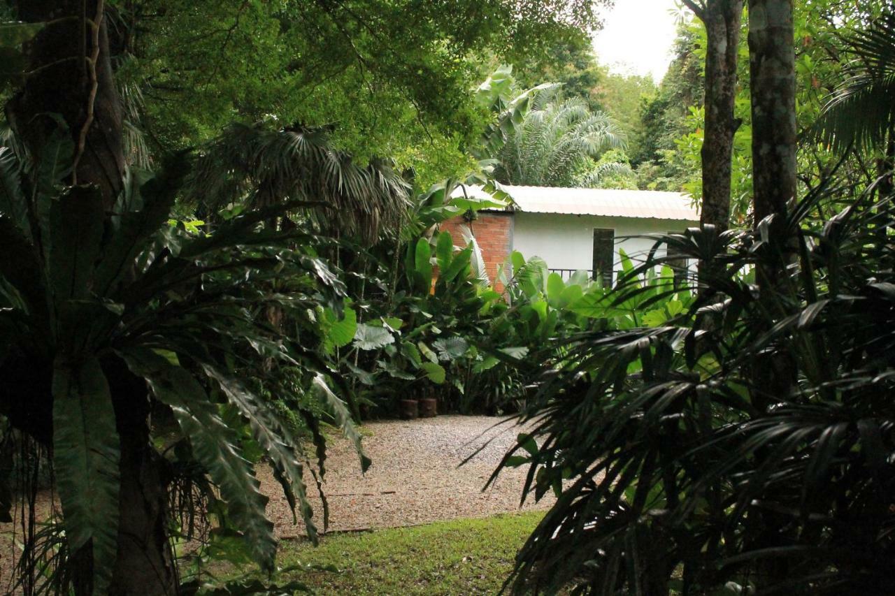 Khaosok River Camp Khao Sok National Park المظهر الخارجي الصورة